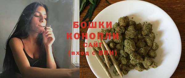 индика Белоозёрский
