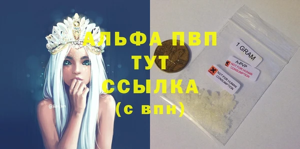 ECSTASY Белокуриха