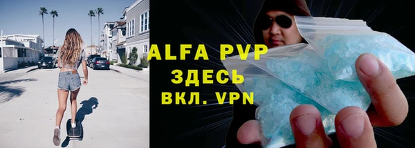 индика Белоозёрский