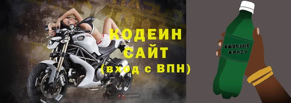 индика Белоозёрский