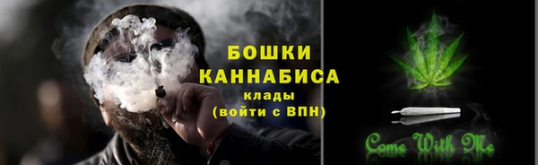 индика Белоозёрский