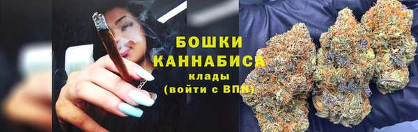 индика Белоозёрский