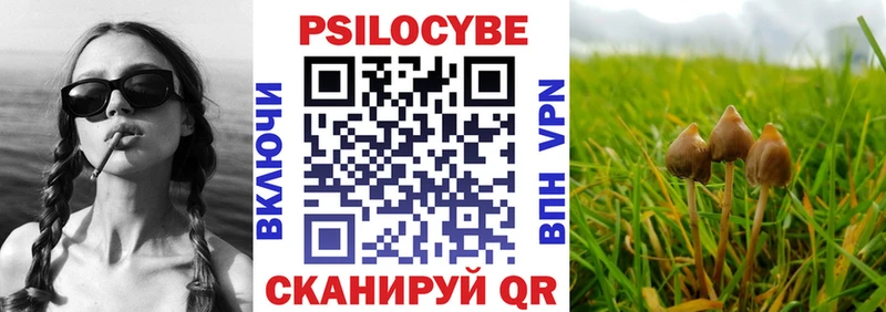 Псилоцибиновые грибы мицелий  Купить  Дзержинский 